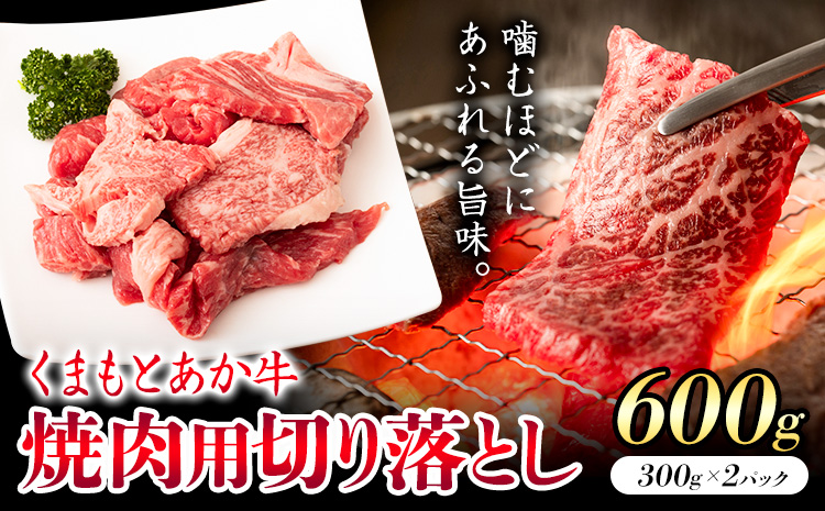 GI認証取得 くまもとあか牛 焼肉用 切り落とし 300g×2パック 合計600g あか牛 切落し 牛肉 肉 国産 九州産 熊本県産 冷凍《30日以内に出荷(土日祝除く)》