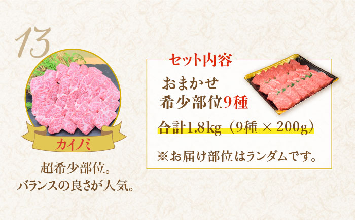 最高級和牛をたっぷり大容量♪佐賀牛希少部位おまかせ9種堪能セット1800g（9種×200g）【ミートフーズ華松】 [FAY042]