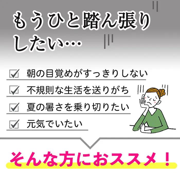 No.1300-B ＜定期便・全6回(隔月)＞ビタミンB群(2袋×6回・計12袋) 鹿児島 日置市 健康食品 サプリ 栄養バランス 食生活 安心安全 ビタミン 定期便 頒布会 【てまひま堂】