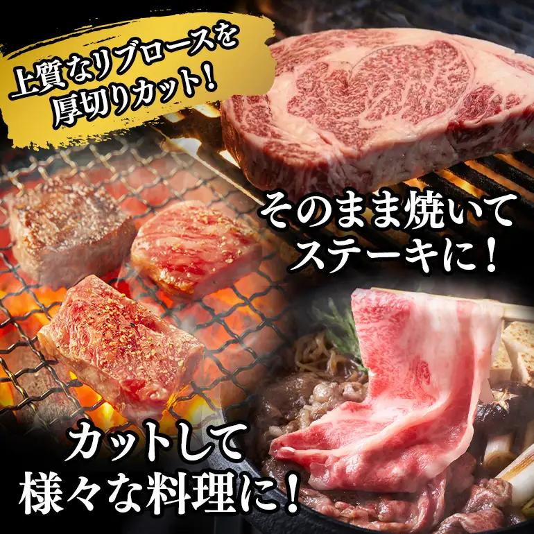 飛騨牛 A5～4等級 大焼肉ステーキ 1.0kg (A01-013)