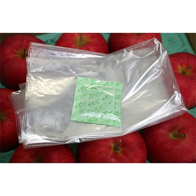 【発送月固定定期便】R7年1月発送開始 青森県産りんご　月替わりでお届けします全3回【配送不可地域：離島】