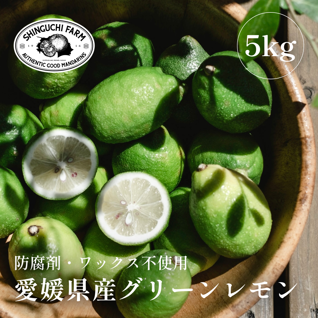 【先行受付】【皮ごと食べられる】瀬戸内グリーンレモン 5kg 防腐剤・ワックス不使用【D70-48】【1550660】 YWTK048