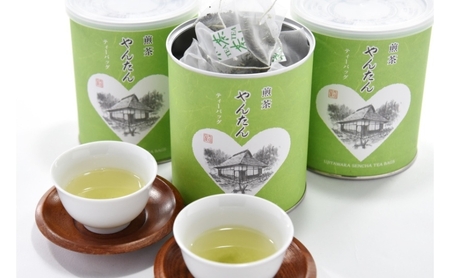 煎茶ティーバッグ「やんたん」25P×3缶〈煎茶 緑茶 お茶 ティーバッグ〉 