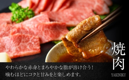 葉山石井牛焼肉 800g  ／ 焼肉  牛肉 焼き肉【株式会社石井ファーム葉山マルシェ】[ASCD006]
