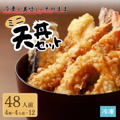 ふるさと納税 南相馬市 ミニ天丼セット 冷凍 48人前(4人前×12)【53841-006-03】