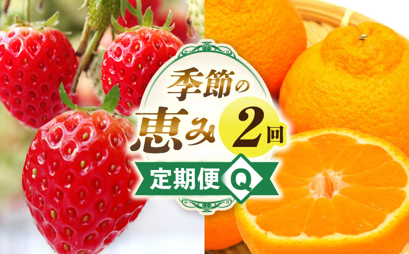 
            季節の恵み2回定期便Q_mk165-t036
          