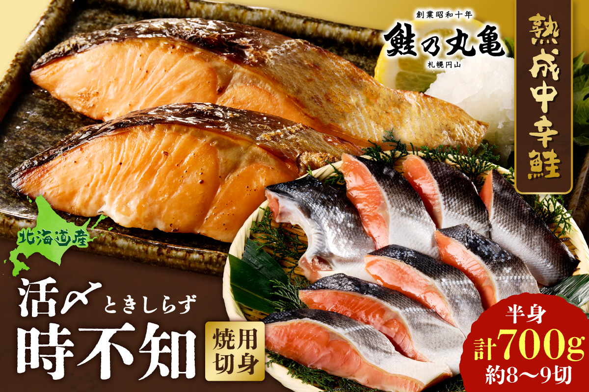 鮮度の良い時不知鮭だけを厳選！鮭乃丸亀　熟成中辛鮭（活〆時不知）切身