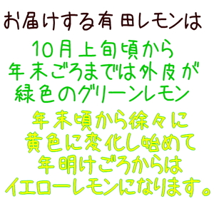 紀州和歌山 ご家庭用 有田レモン 約5kg【防腐剤・ワックス不使用】【農家直送】【訳あり】 ※着日指定不可 ※10月中旬～2月下旬頃に順次発送【ard190A】