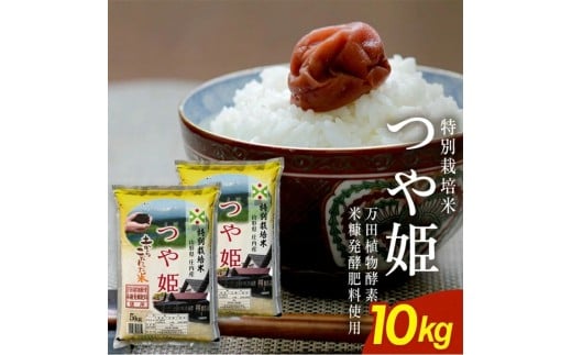 つや姫 5kg×2袋 計10kg 特別栽培米 万田植物酵素・米糠発酵肥料使用 令和7年産米 農産物検査員おすすめ 庄内米 東北 山形県 酒田市 庄内地方 庄内平野 米 お米 精米 白米 ブランド米 ごはん ご飯 SY 荘内米穀商業協同組合　SE0538