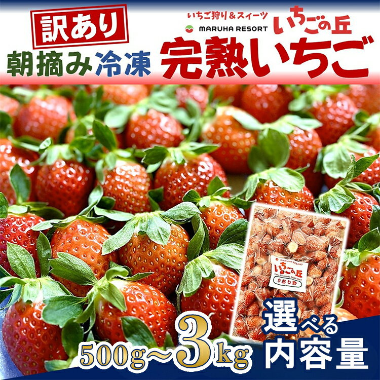 【ふるさと納税】＼選べる内容量／まるは食堂 マルハリゾート いちごの丘 『訳あり』 完熟 冷凍いちご | 訳あり いちご イチゴ 冷凍 国産 完熟 スムージー ジャム ヨーグルト シャーベット デザート アイス おやつ 果物 フルーツ 愛知県 ※北海道・沖縄・離島への配送不可