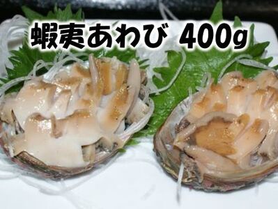 【FN】蝦夷あわび 400g