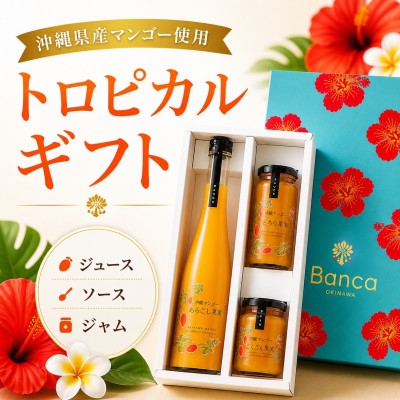 
                  ＜化粧箱入り＞沖縄マンゴー使用!トロピカルギフトセット【1742771】
                