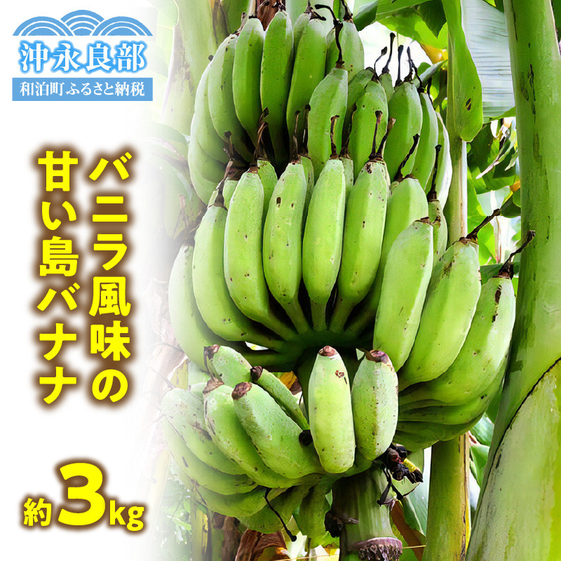 
                  ■ 栽培期間中 農薬・除草剤・化学肥料不使用！バニラ風味の甘い島バナナ 3kg【2025年6月～2025年11月下旬お届け】　W043-001u
                