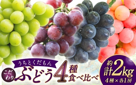 【 うちとくだもん 】 のこだわりぶどう ぶどう 4種食べ比べセット 各1房 計4房 約2kg 【 2026年10月上旬～11月下旬まで順次発送予定 】