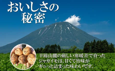 北海道産じゃがいも 男爵 きたかむい各約5kg Lサイズ 計10kg ジャガイモ 男爵いも 馬鈴薯 ポテト 根菜 常備野菜 産直 国産 送料無料 北海道 倶知安町