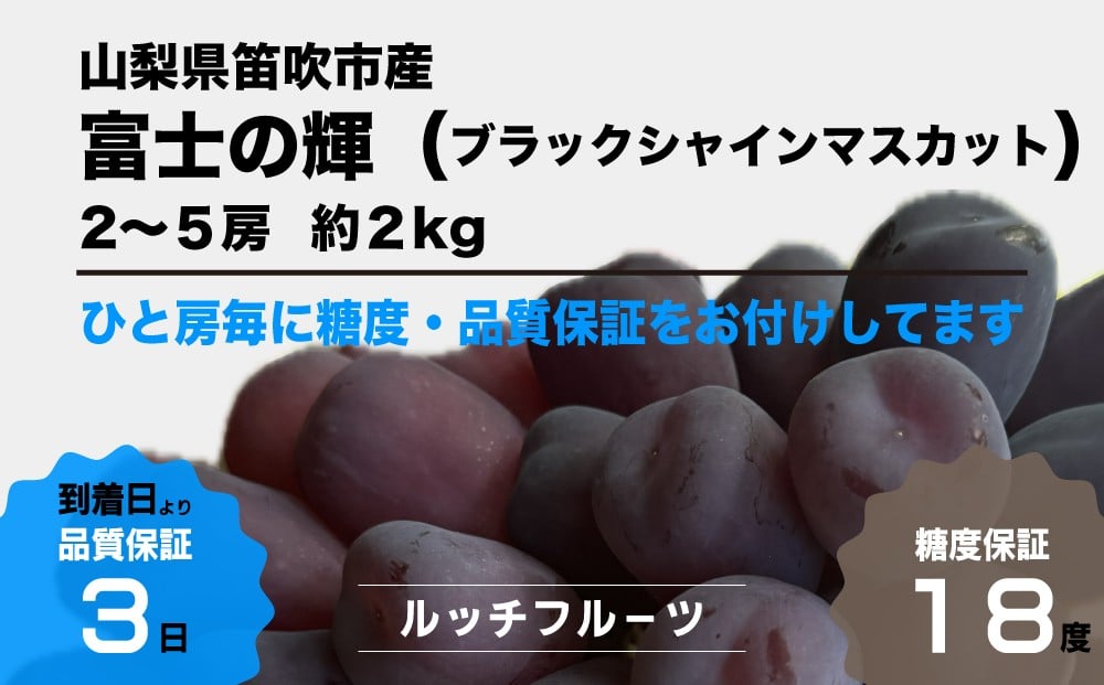 
            【糖度18度保証付】ブラックシャインマスカット「富士の輝」約2kg 2～5房【数量限定】旬の美味しいフルーツだけをお届けします【ルッチ Rucci】産地直送 山梨県 笛吹市 果物 葡萄 ぶどう 黒ブドウ 黒系 黒いシャインマスカット 贈答 人気 ギフト 104-016
          