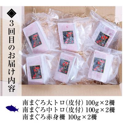 ふるさと納税 いちき串木野市 【3か月定期便】極上天然南まぐろ贅沢コース |  | 03