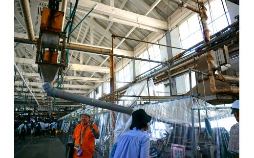 世界遺産「富岡製糸場」入場利用券3枚セット