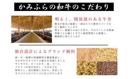 牛肉 かみふらの和牛 すね肉 煮込み用 牛肉【約1.2kg】