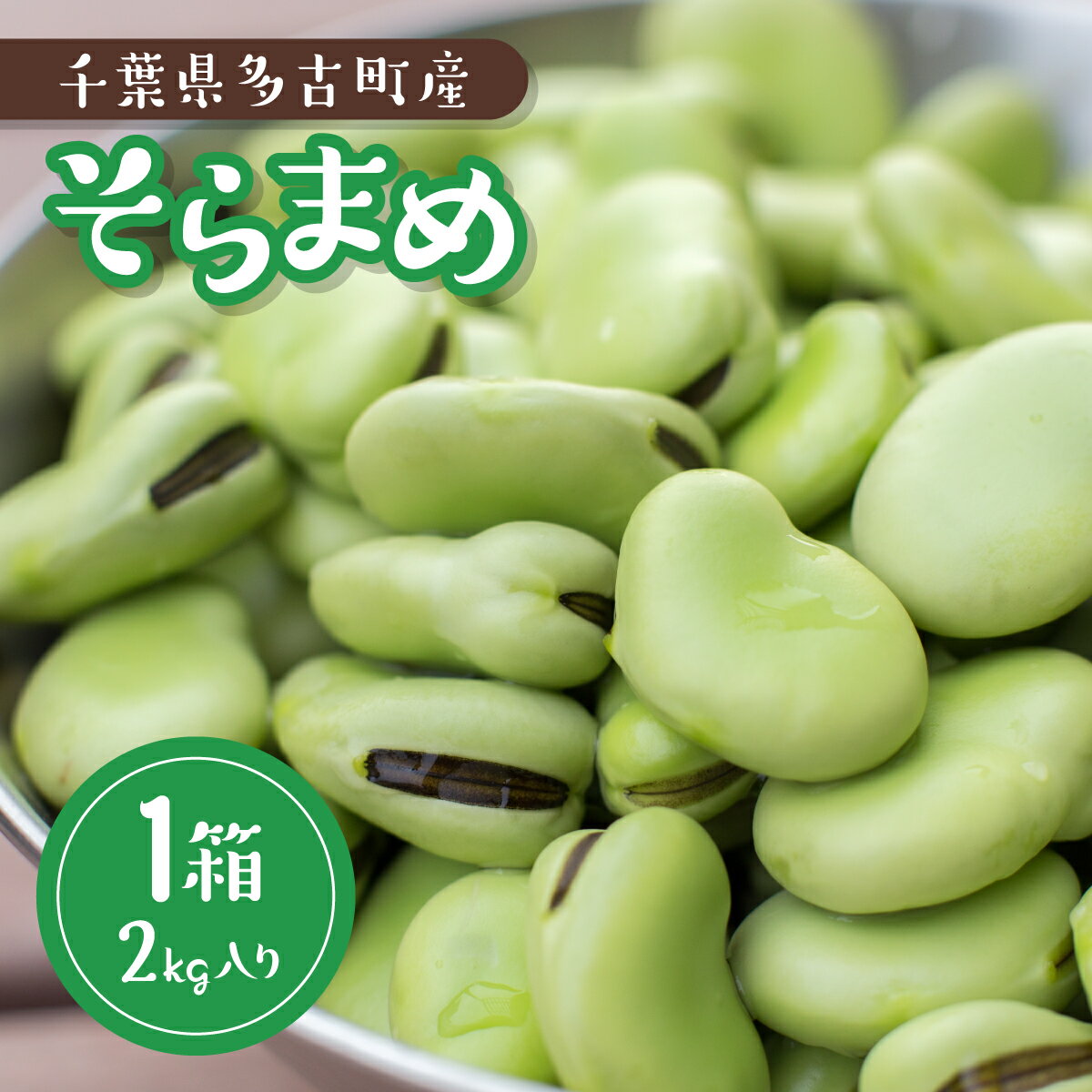 【ふるさと納税】大村農場のそら豆2kg(5月下旬より順次発送)【配送不可地域：離島・沖縄県】【TAKG001】