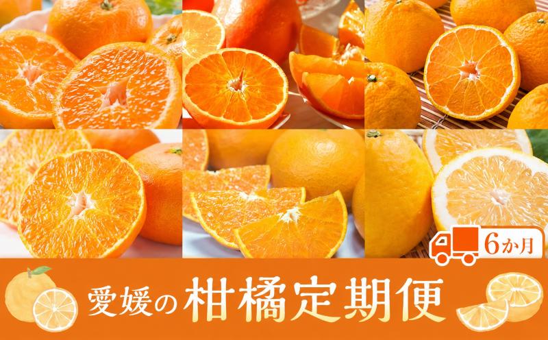 
                  【定期便6回】えひめかんきつ定期便 みかん 紅まどんな 伊予柑 デコポン せとか 河内晩柑 | みかん 日の丸ゴールド まどんな 紅まどんな 愛果28号 国産 フルーツ みかん オレンジ 柑橘 果物 定期便 愛媛県 松山市
                