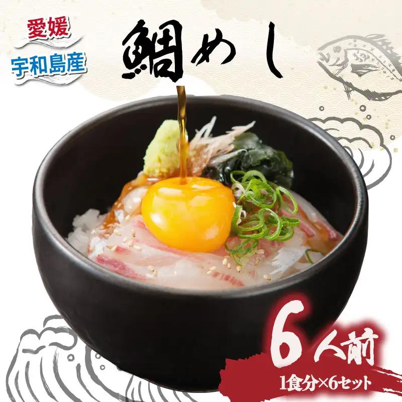 鯛めし 6食 セット 薬味 付き 有限会社 アクアプラス 生鯛めし 真鯛 鯛 マダイ タイ tai 刺身 お刺身 刺し身 丼 丼ぶり 海鮮丼 郷土料理 鯛飯 海鮮 人気 海の幸 魚介 水産 人気加工品 冷蔵 小分け パック お手軽 便利 簡単 調理 乗せるだけ ごま のり 産地直送 国産 愛媛 宇和島 D020-090004