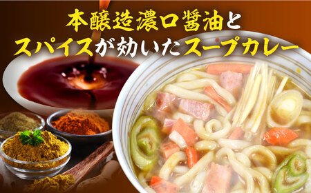 【第12回定期便】 スープカレーうどん (12食入り) [VAI073]うどん カレー 麺
