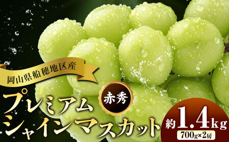 【2026年発送】岡山県船穂地区産 プレミアム シャインマスカット 晴王 赤秀 1.4kg  彩美菜果