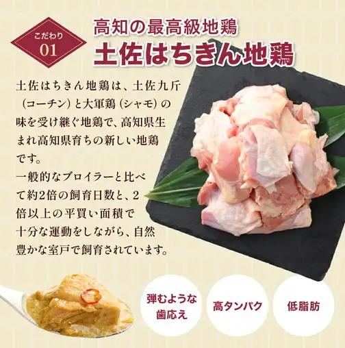 土佐はちきん地鶏 グリーンカレー 12箱 180g チキンカレー おすすめ curry かれー かれーらいす 惣菜 おかず 夕食 詰め合わせ セット レトルトカレー レトルト食品 ご当地グルメ 国産 
