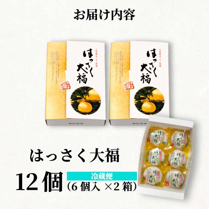 【先行受付】はっさく大福6個入×2箱 2026年11月頃～順次発送予定  ゑびす家 八朔 柑橘 求肥 スイーツ 和菓子 フルーツ 手土産 ギフト 021005