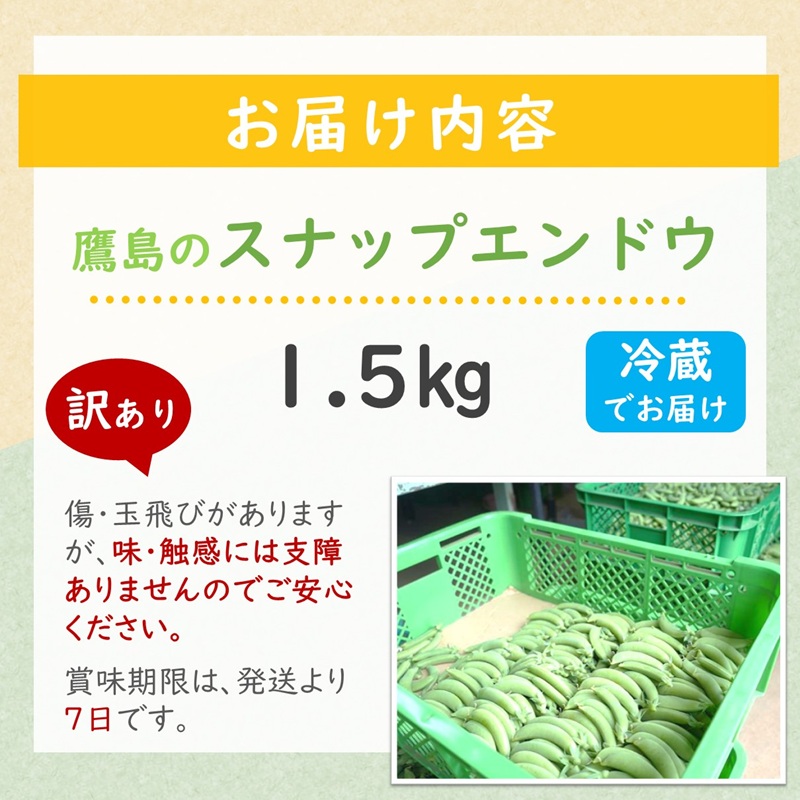 訳あり大容量！みずみずしさ弾ける!鷹島のスナップエンドウ 1.5kg ( 訳アリ えんどう エンドウ 豆 旬の野菜 野菜 新鮮 朝摘み )【B0-194】