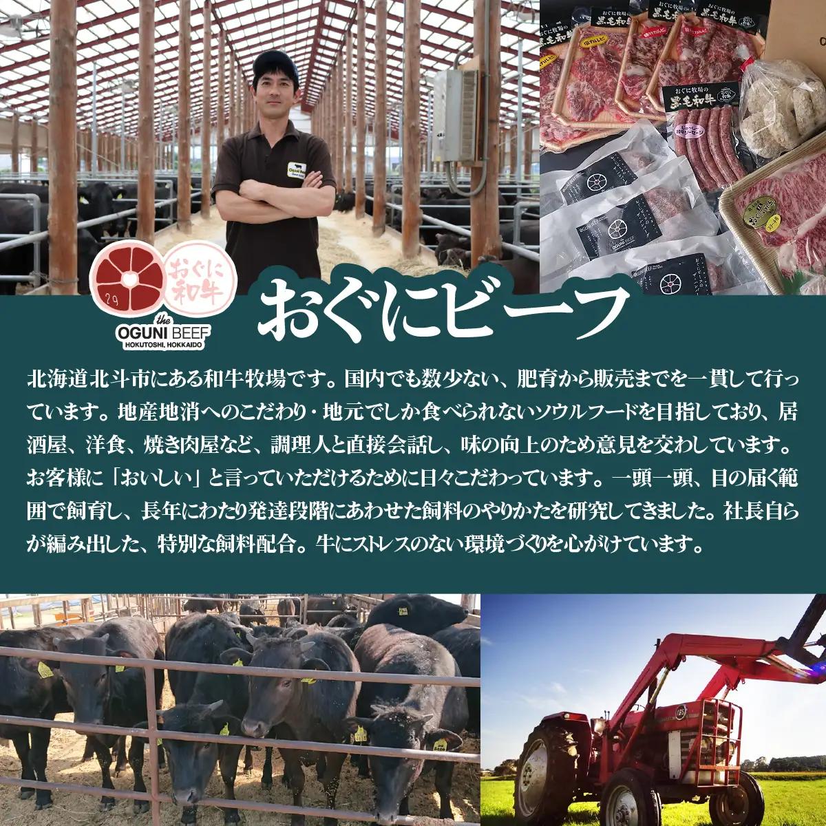 北海道産 黒毛和牛 おぐにビーフ 牧場直送  和牛100％ ハンバーグ180g×2と和牛ソーセージ5本入りのセット HOKQ007 | ソーセージ
