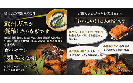 武州うなぎ 国産うなぎ蒲焼きざみ 冷凍真空パック（50g×5袋）【埼玉県 東松山市 鰻 ウナギ 誕生日 プレゼント 鰻の蒲焼き 特選品 美味しい お取り寄せ 贈り物 グルメ 旬 おすすめ 国産 選べる