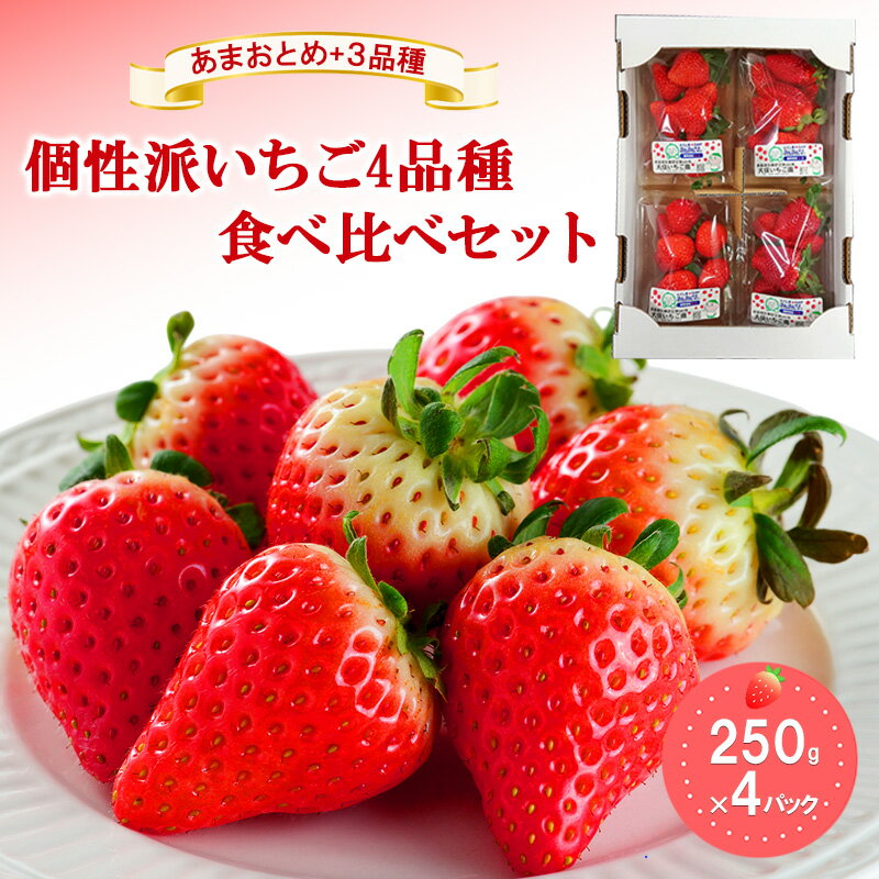 【ふるさと納税】「あまおとめ」+3品種　個性派いちご4品種食べ比べセット　250g×4パック　『とくしま安2（安全・安心）農産物』優秀認定取得　お届け：2025年12月30日～2026年2月15日まで