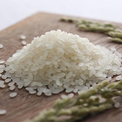 ふるさと納税 加西市 令和7年産 有機・減農薬栽培米キヌヒカリ(白米)10kg[No5698-0614]