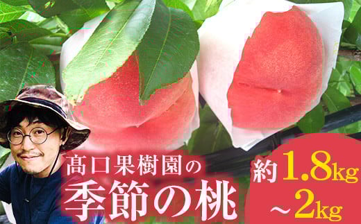 【2026年 先行予約】 桃 季節の桃 太陽のほっぺ 約1.8～2kg フルーツ 果物 ピーチ もも 白桃  あかつき なつおとめ まどか 瑞鳳 なつっこ 川中島白桃 熊本県荒尾市産 桃 髙口果樹園《2026年7月上旬-8月末頃出荷》