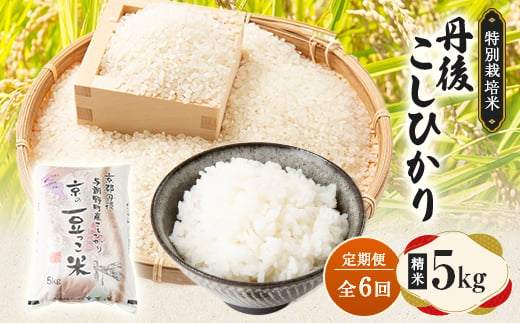 
                  ＜毎月定期便＞京都府与謝野町産 丹後コシヒカリ 精米5kg　特別栽培米 京の豆っこ米全6回【4083192】
                