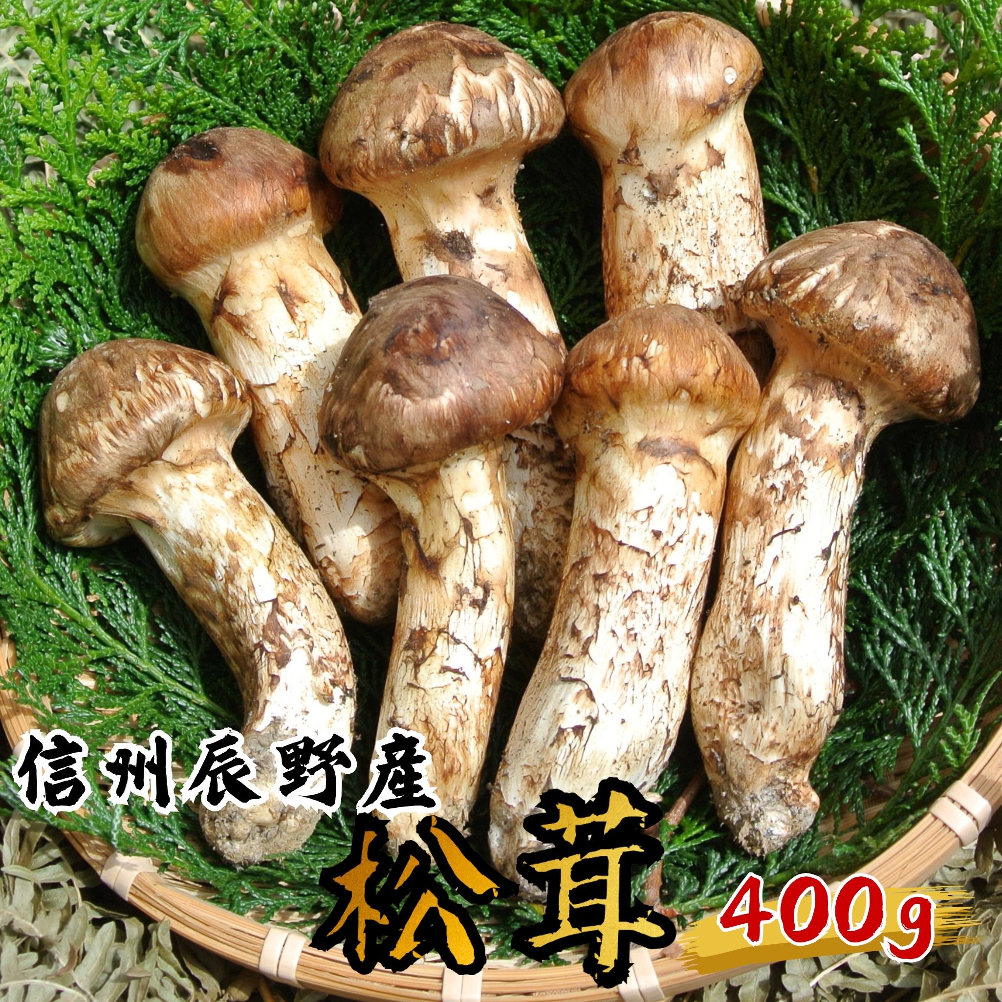 【ふるさと納税】061 辰野産 松茸400g 先行予約受付中