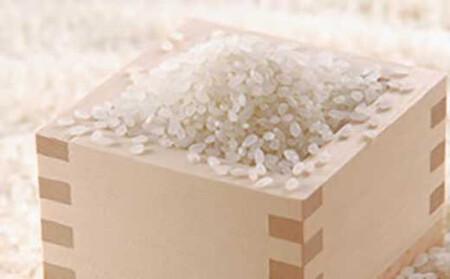 【信濃大町産】稜線の風(コシヒカリ)5kg