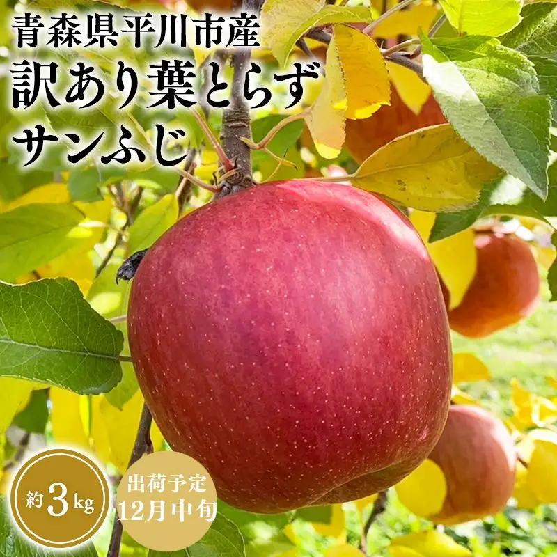 りんご 家庭用 葉取らずサンふじ 約3kg 青森県平川市産 りんご