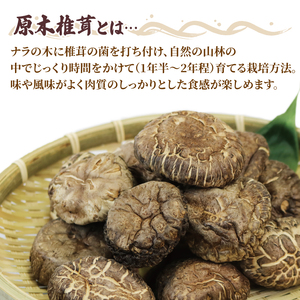 原木椎茸 粉末 3袋 香信 こうしん 干し椎茸 しいたけ パウダー 粉末しいたけ 原木しいたけ