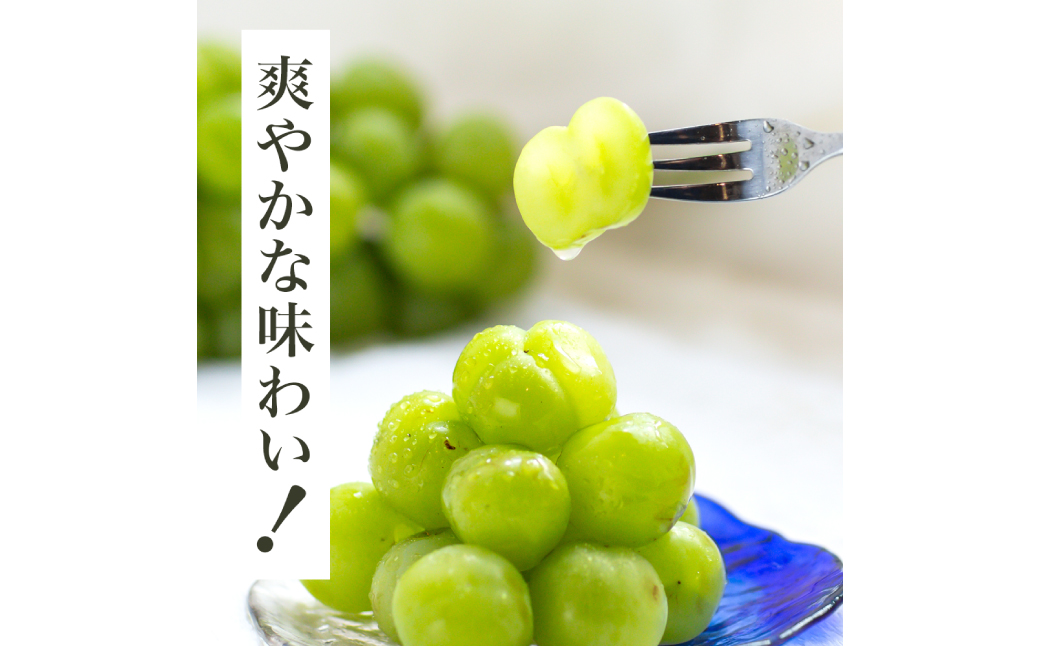 【先行予約】岡山県産 瀬戸ジャイアンツ2房【2025年9月上旬-9月下旬 発送予定】（1房480g以上）約1kg 化粧箱入り【ぶどう 果物 フルーツ 国産 人気 おすすめ 岡山県 倉敷市】