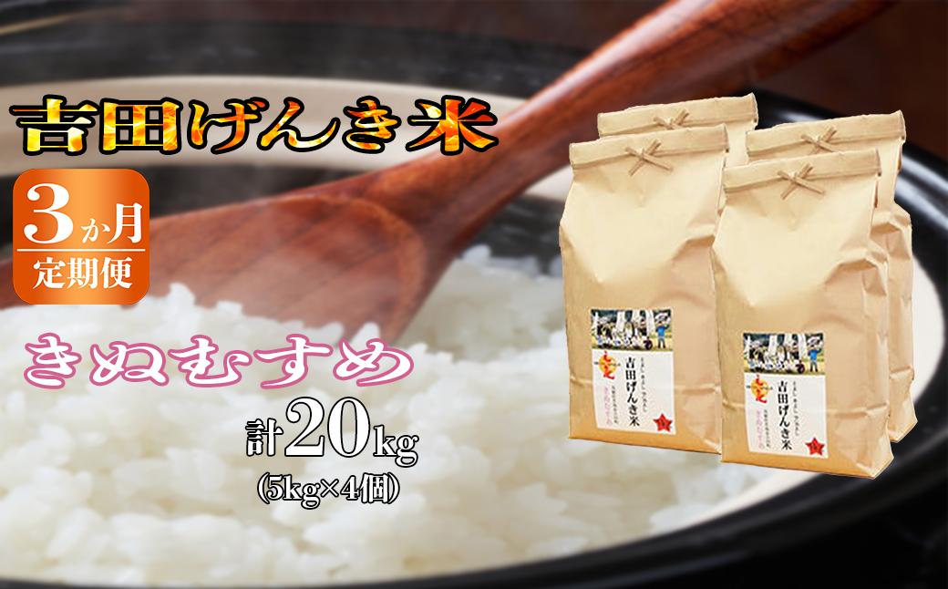 
【定期便3か月連続お届け】「吉田げんき米」きぬむすめ20kg（5kg×4）【島根県産 雲南市産 ブランド米 米 お米 白米 コメ こめ おこめ ライス 精米 ふっくら ツヤツヤ 炊き立て 甘い 美味しい 家庭用 ふるさと ご飯 おうちご飯 袋 自然 天然 送料無料 定番 朝食 昼食 夜食】
