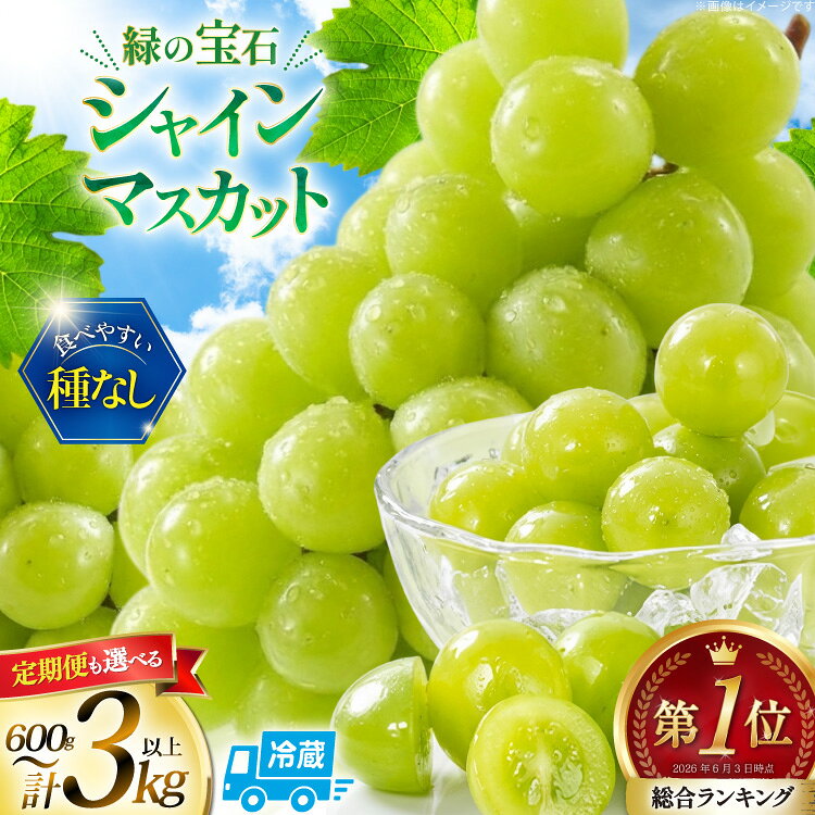 【ふるさと納税】 総合ランキング1位 高評価★5.0 シャインマスカット 先行予約 1kg 2kg 3kg 定期便 選べる容量 訳あり ふるさと納税 フルーツ [山梨県 韮崎市 20745480 REGALO] シャインマスカット マスカット ふるさと納税 ギフト 山梨県産 ぶどう 果物 ブドウ 規格外 ◎