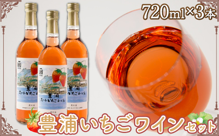 北海道 豊浦 いちご ワインセット【3本】 【 ふるさと納税 人気 おすすめ ランキング 果物 いちごイチゴ 苺 いちごワイン 酒 おいしい 美味しい 北海道 豊浦町 送料無料 】 TYUV001