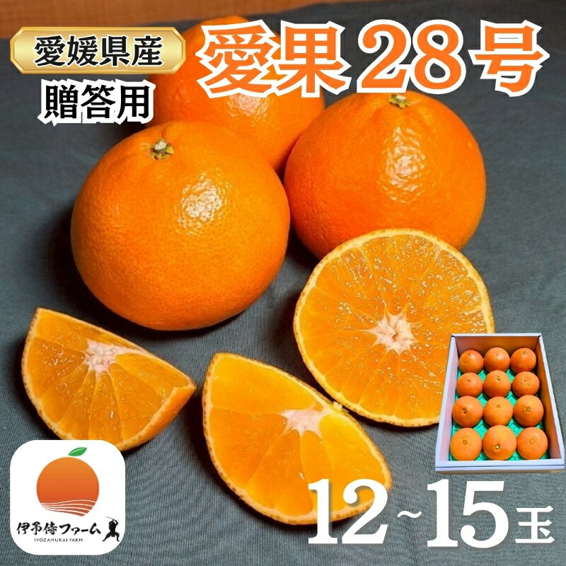 【ふるさと納税】【2026年先行予約】みかん 愛果28号 贈答用 L～2L 12～15玉 紅まどんなと同一品種【2026年12月順次発送】 数量限定 柑橘 人気 伊予侍ファーム 愛媛 伊予市｜C138