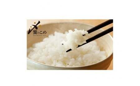 米 令和7年 無洗米 石川米 こしひかり 10kg [38601205] 米