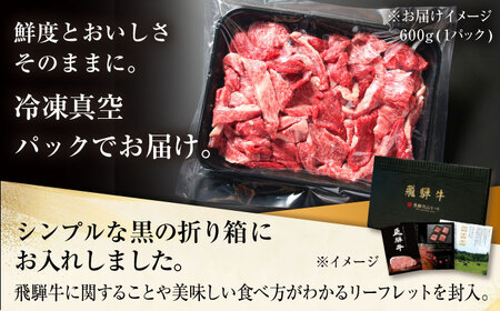 【訳あり】 飛騨牛 焼肉 切り落とし 1kg(500g×2パック) 多治見市 / 飛騨高山ミート MZ036 冷凍 真空パック ブランド和牛[THP027]
