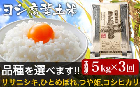 【新米予約】令和6年産<定期便>ヨシ腐葉土米 精米15kg(5kg×3回発送)ひとめぼれ 宮城県 石巻市 定期便 毎月 3回 5kg 米 お米