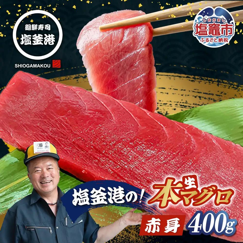 【まぐろ】マグロ 赤身 400g 